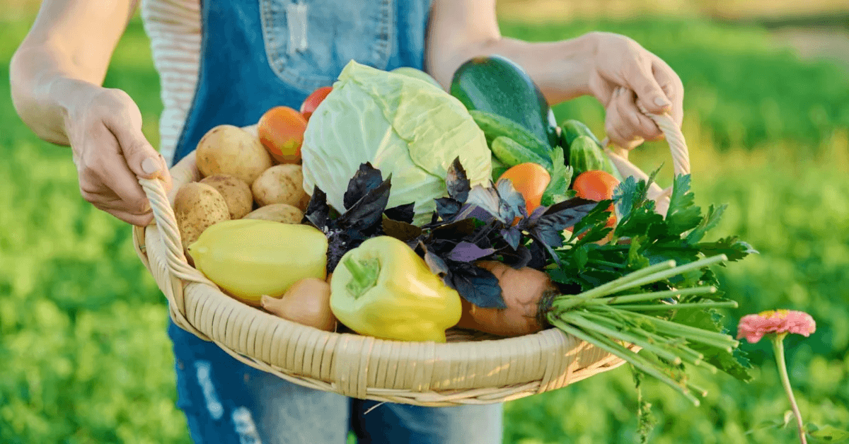Ilustračná fotografia zeleniny